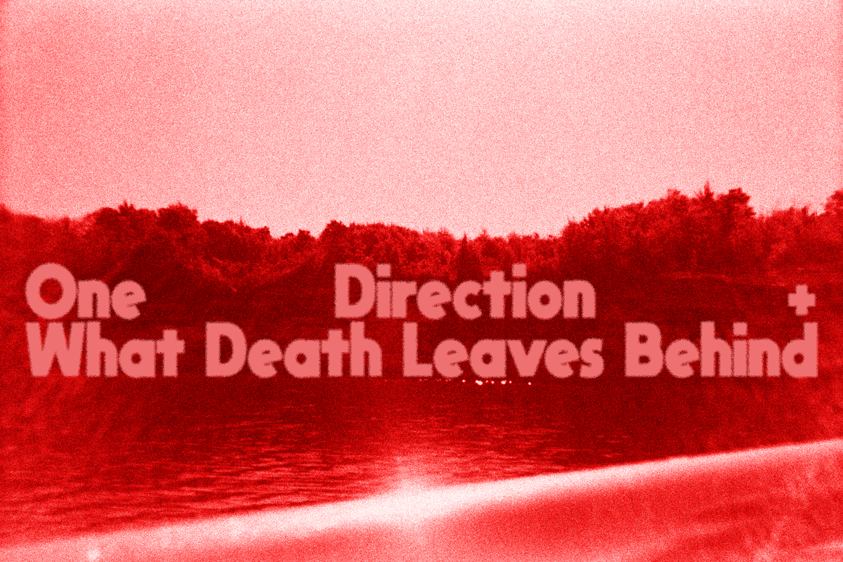 one direction + what death leaves behind